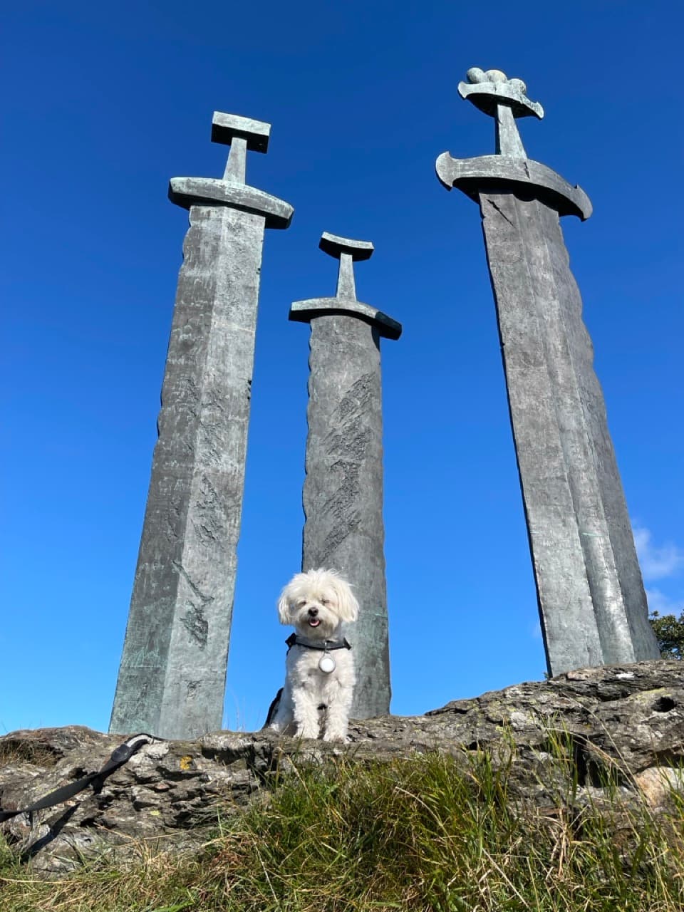 Olivia in the fjords of Norway